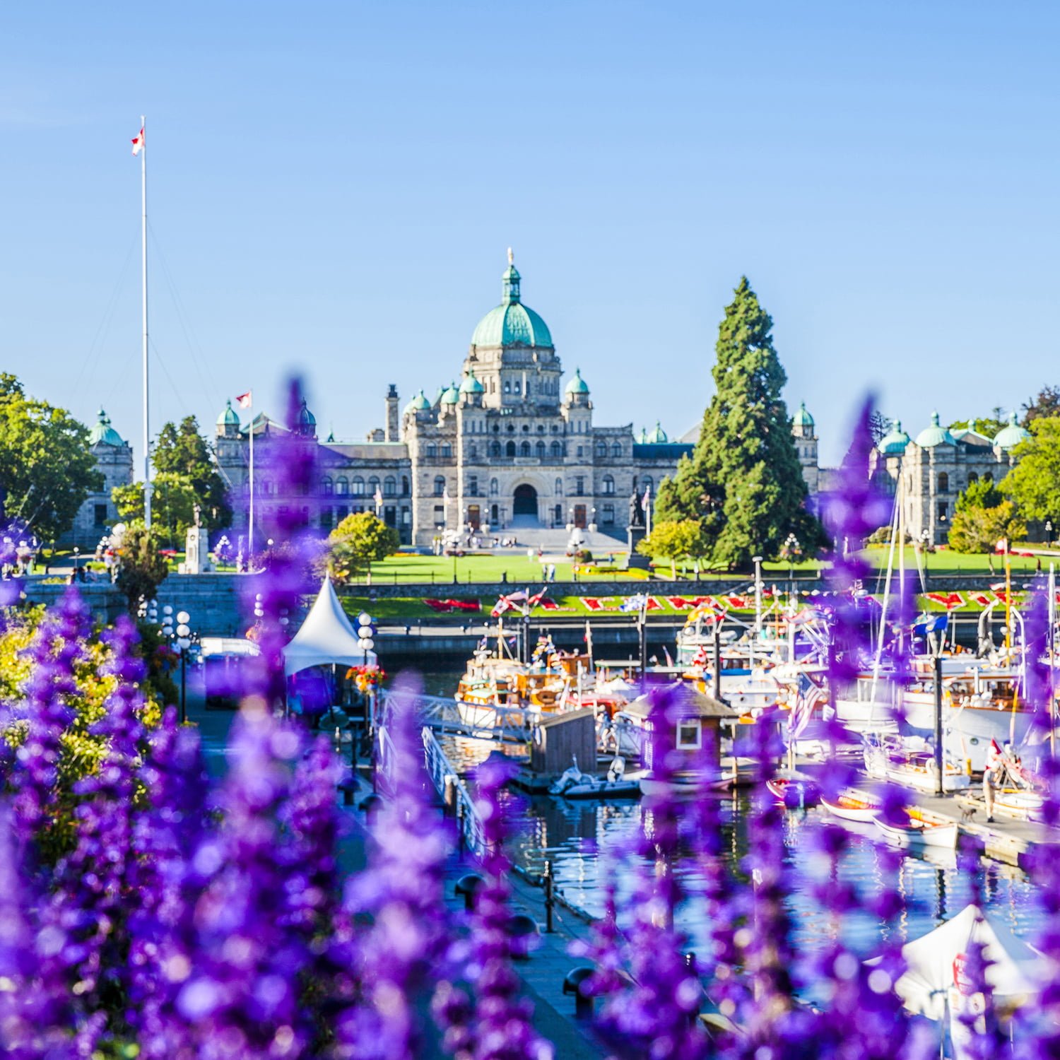photo of downtown victoria