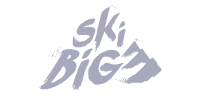 programmatic ad client skibig3